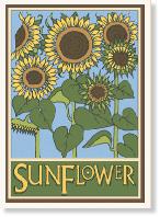 SunflowerA6a