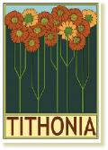 TithoniaA6
