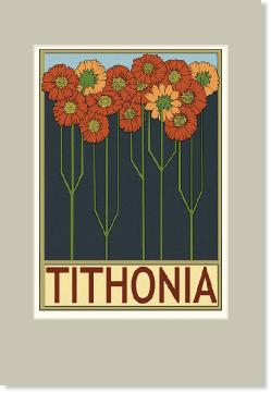 Tithonia