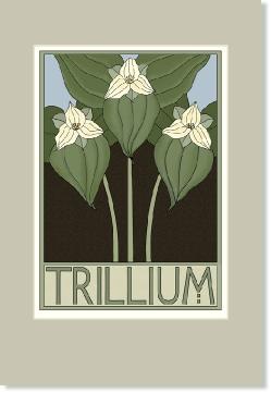 Trillium12x18