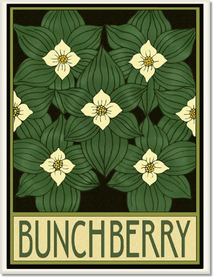 BunchberryTile