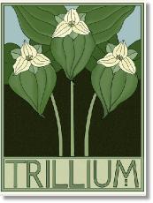 TrilliumTile
